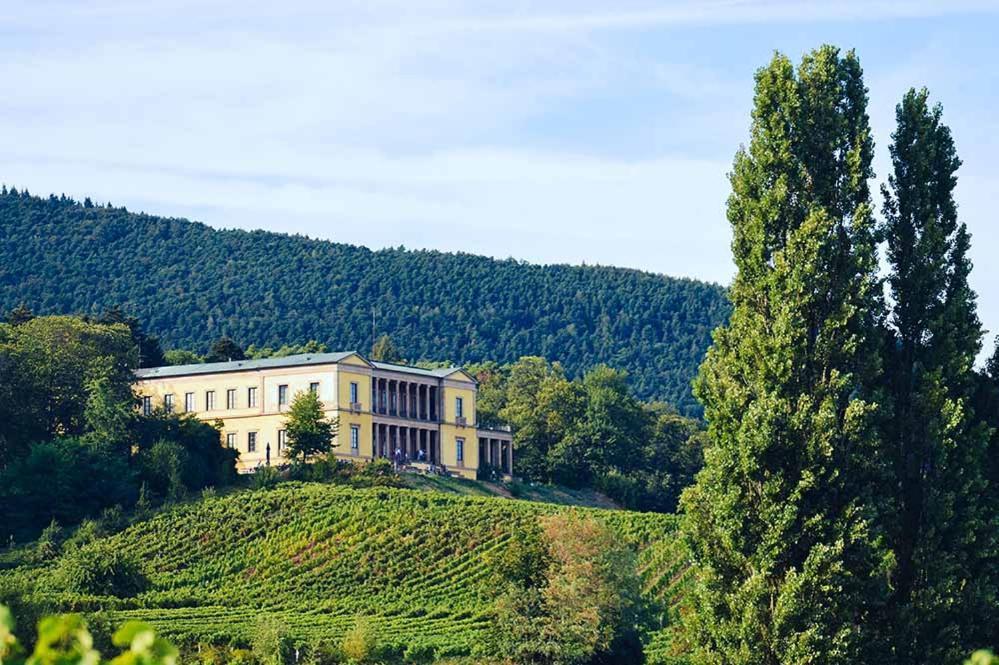 Pfalz-dorfhaus *